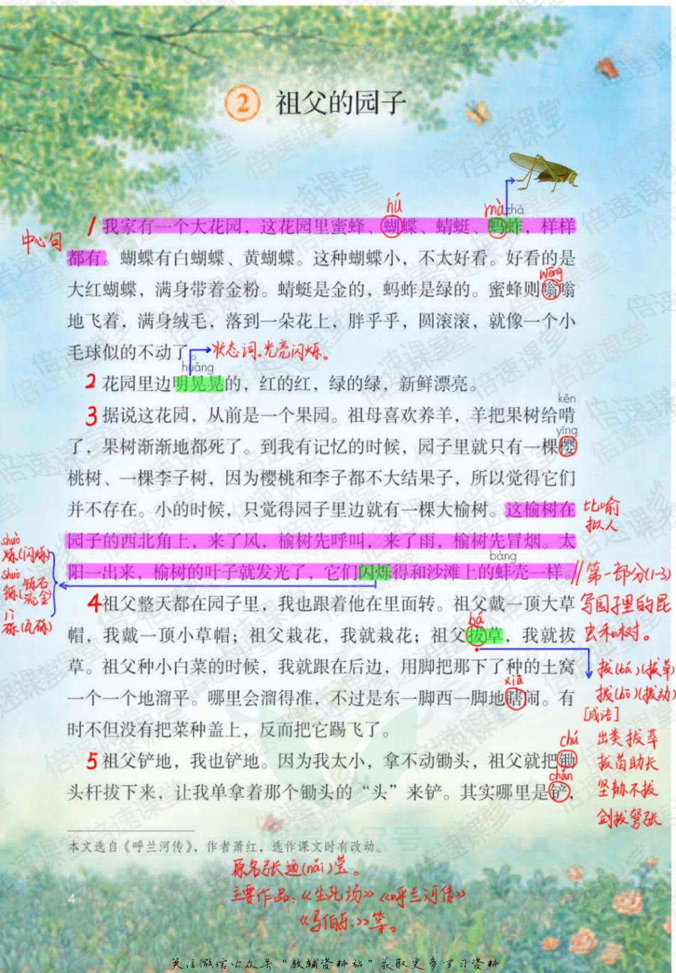 五年级下册语文部编版课堂笔记（倍速版）.pdf_第3页