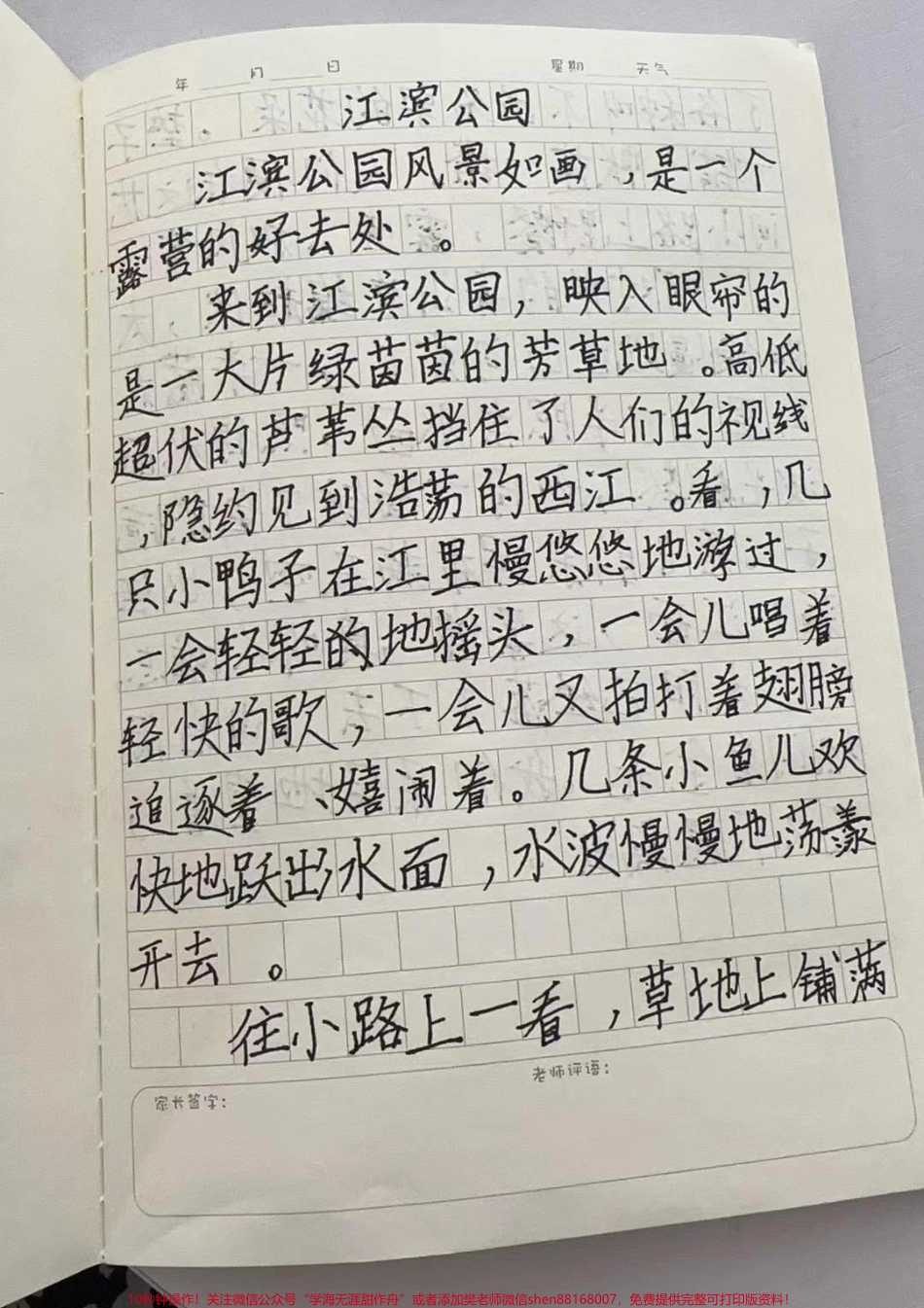 优秀作文#每天学习一点点 #家长必读 #干货分享 #一年级.pdf_第1页