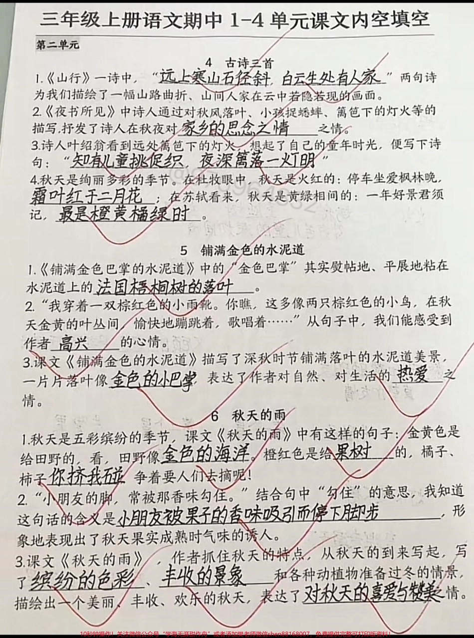 三年级上册语文期中复习#三年级 #期中考试 #必考考点 #三年级上册语文 #语文.pdf_第2页