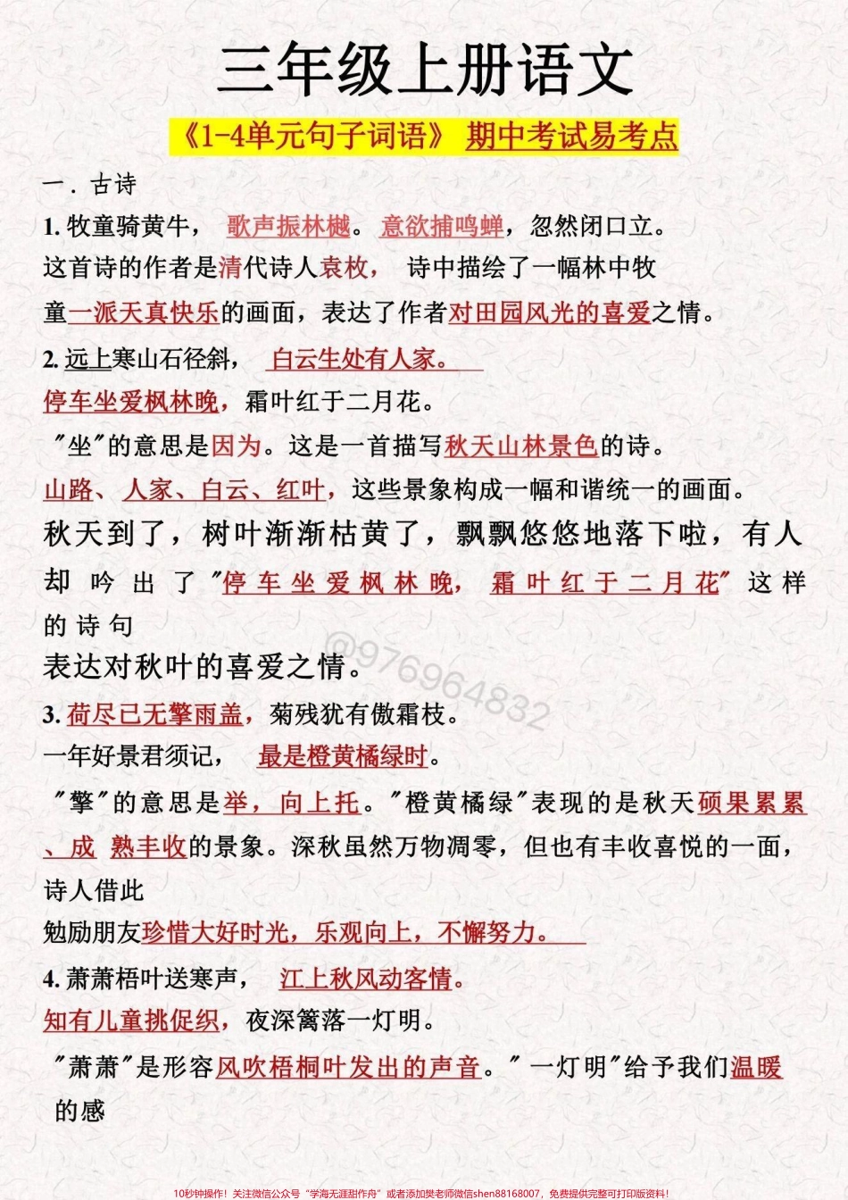 三年级语文上册【期中必考考点】#三年级 #期中考试 #必考考点 #三年级上册语文 #知识点总结.pdf_第1页