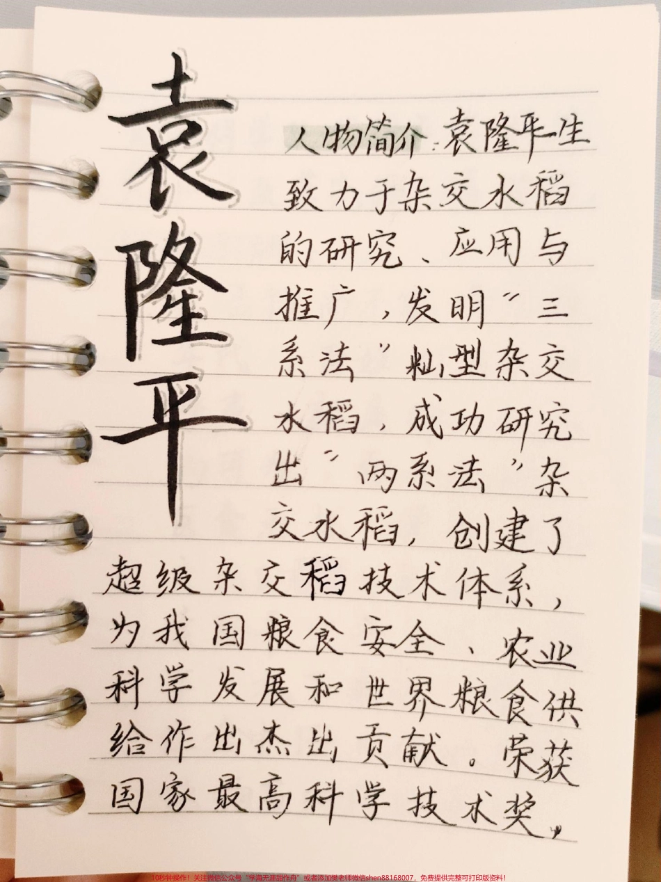 每天一个作文人物素材——袁隆平#作文 #作文素材 #手写笔记 #图文伙伴计划 #抖音图文来了.pdf_第1页