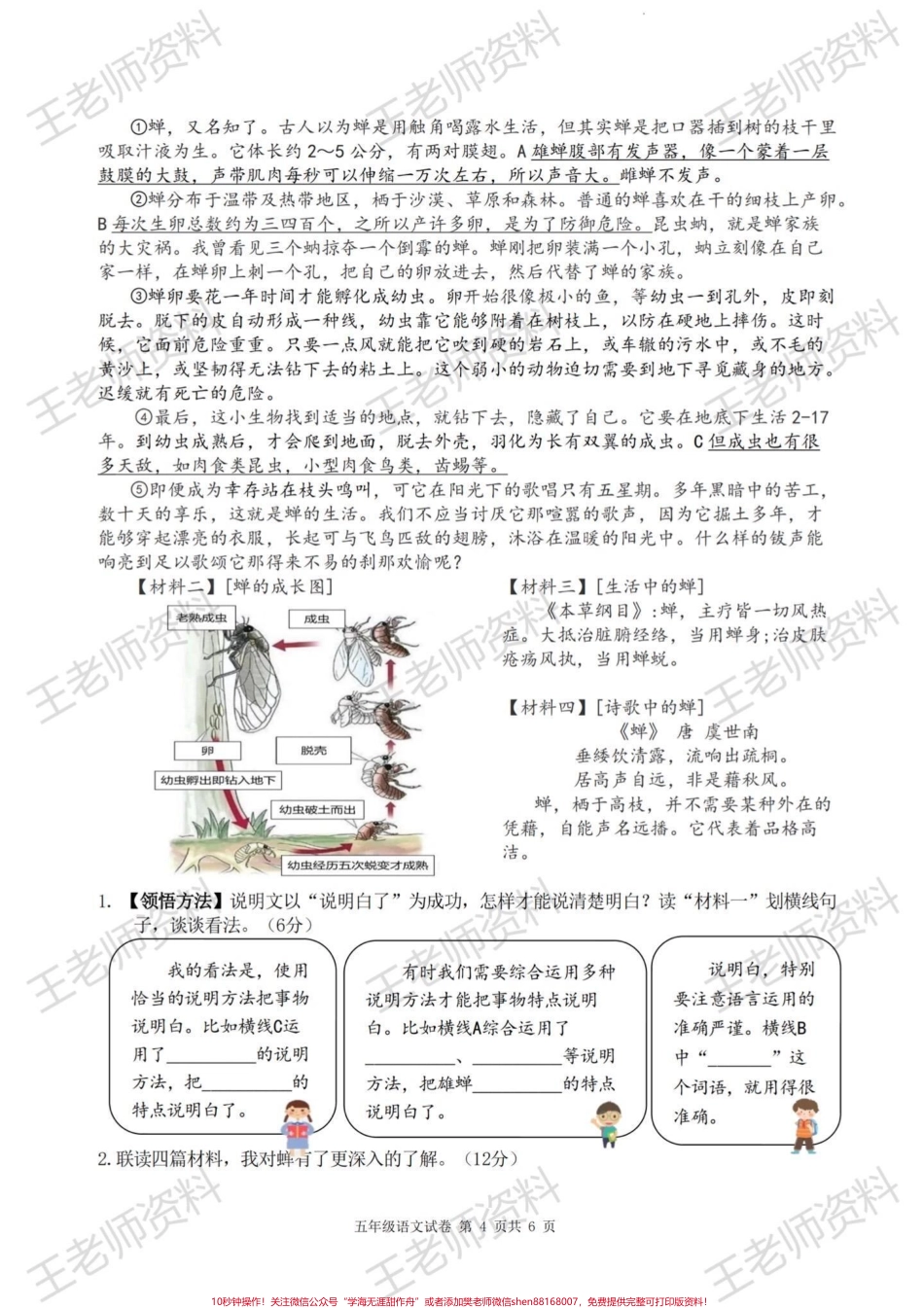 这套卷出的真好！五上语文期末大情境试卷！#五年级上册语文 #小学语文.pdf_第2页