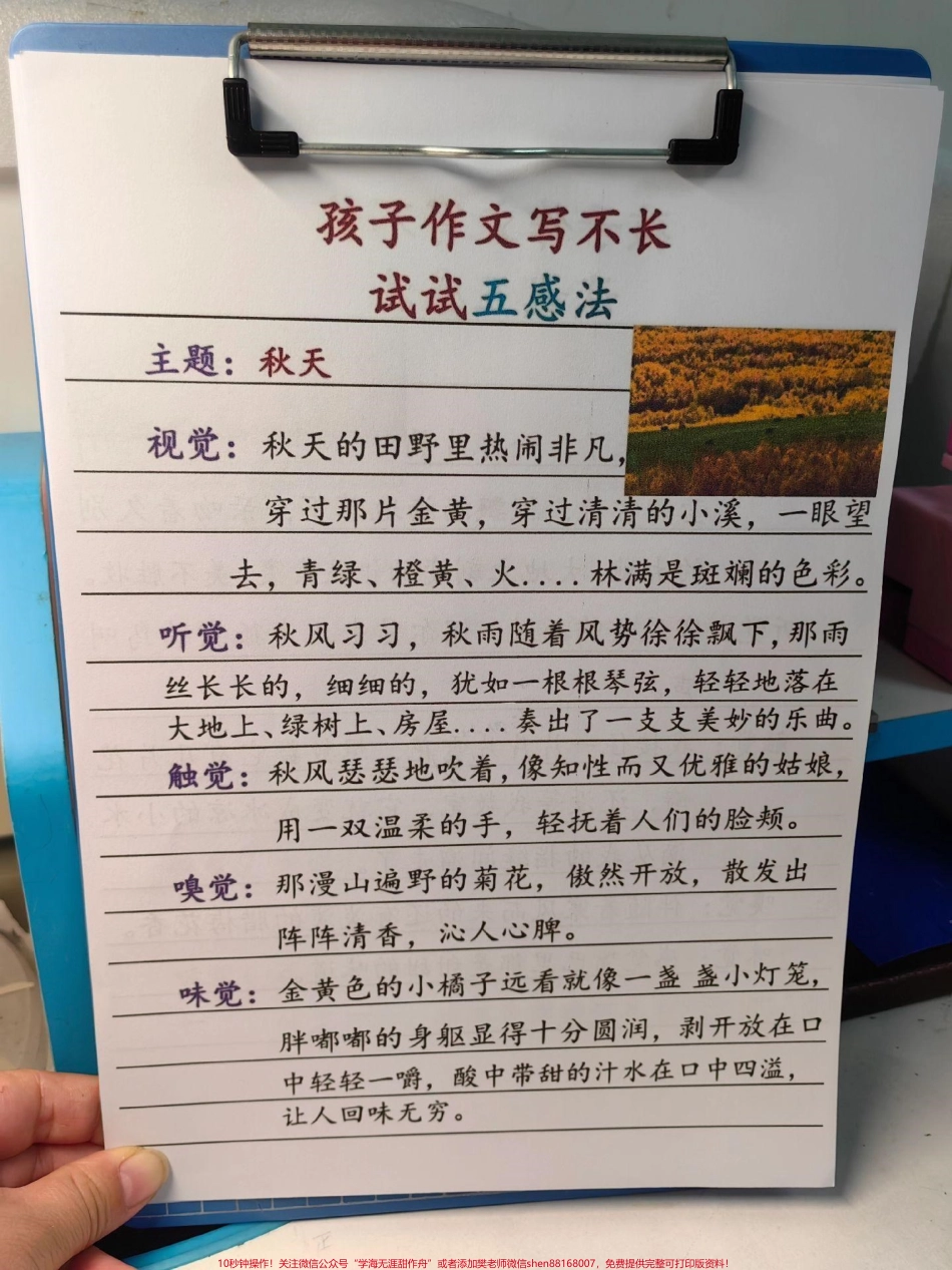 作文写不长就用五感法五感法写作文！#语文 #作文范文 #晨读 #晨读打卡 #每天学习一点点.pdf_第2页