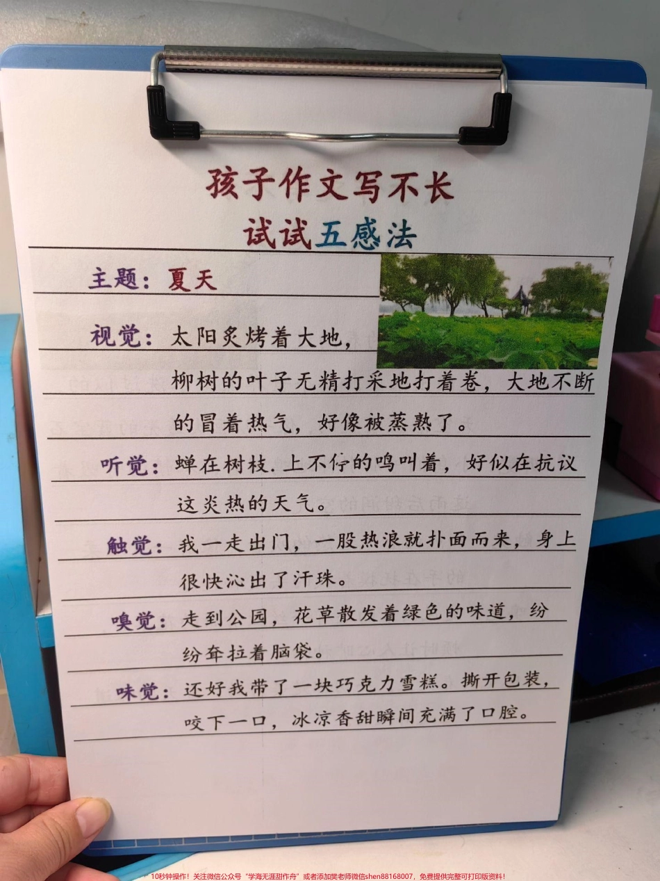 作文写不长就用五感法五感法写作文！#语文 #作文范文 #晨读 #晨读打卡 #每天学习一点点.pdf_第3页