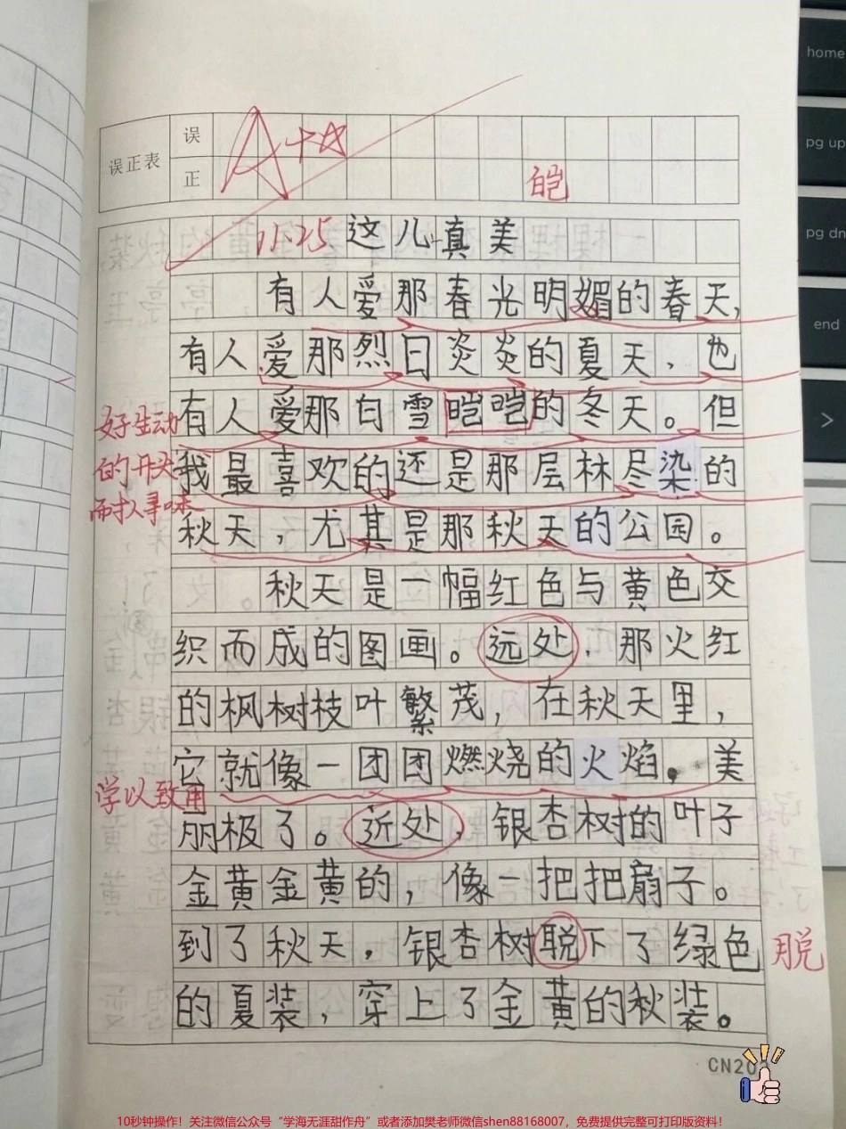 三年级第六单元优秀作文《这儿真美》#知识分享 #三年级 #学习 #作文 #教育.pdf_第1页