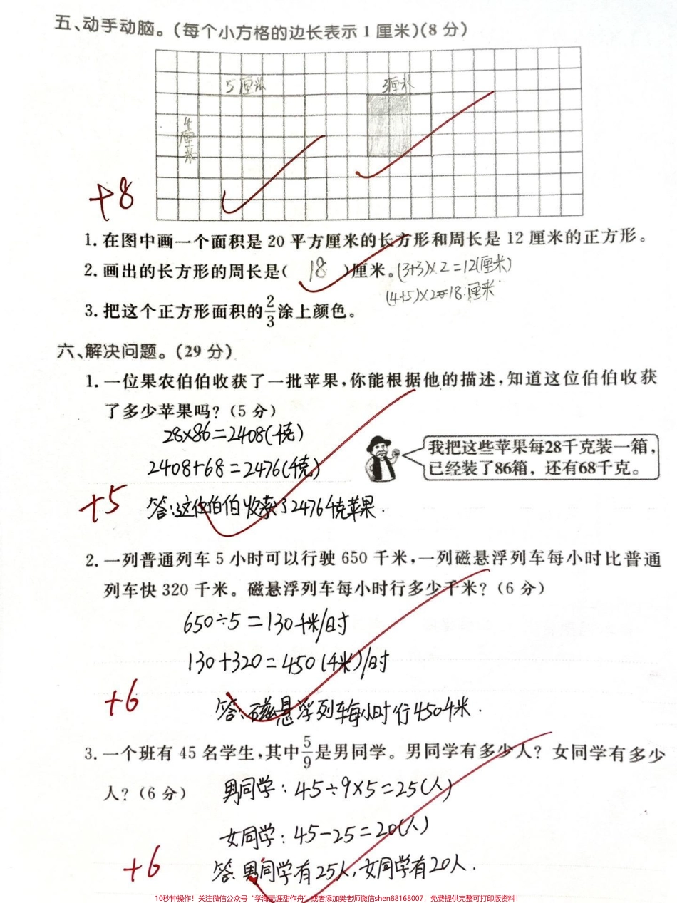 三年级下册数学苏教版期末真题卷#干货分享 #教育 #孩子教育 #小学生 #干货.pdf_第3页
