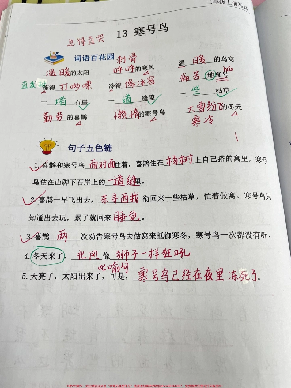 二年级上册语文优秀写作指导看图写话优秀范文#看图写话 #家长收藏孩子受益 #知识分享 #育儿.pdf_第2页