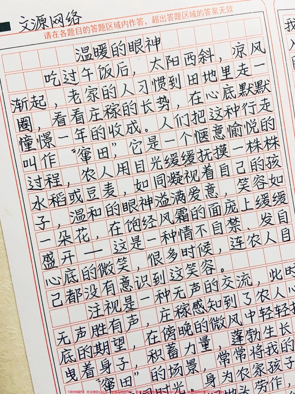 优秀作文《温暖的眼神》#作文 #图文伙伴计划 #抖音图文来了.pdf_第1页