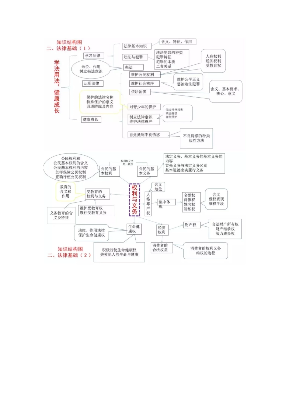 思维导图初中政治思维导图涵盖所有知识点.docx_第2页