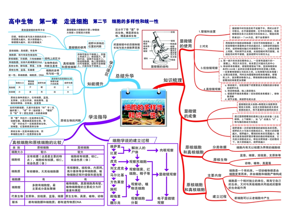 高中生物-思维导图.pdf_第2页