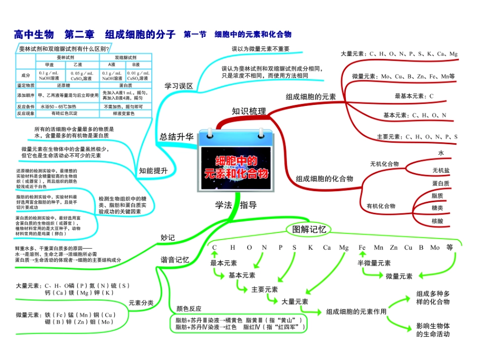 高中生物-思维导图.pdf_第3页
