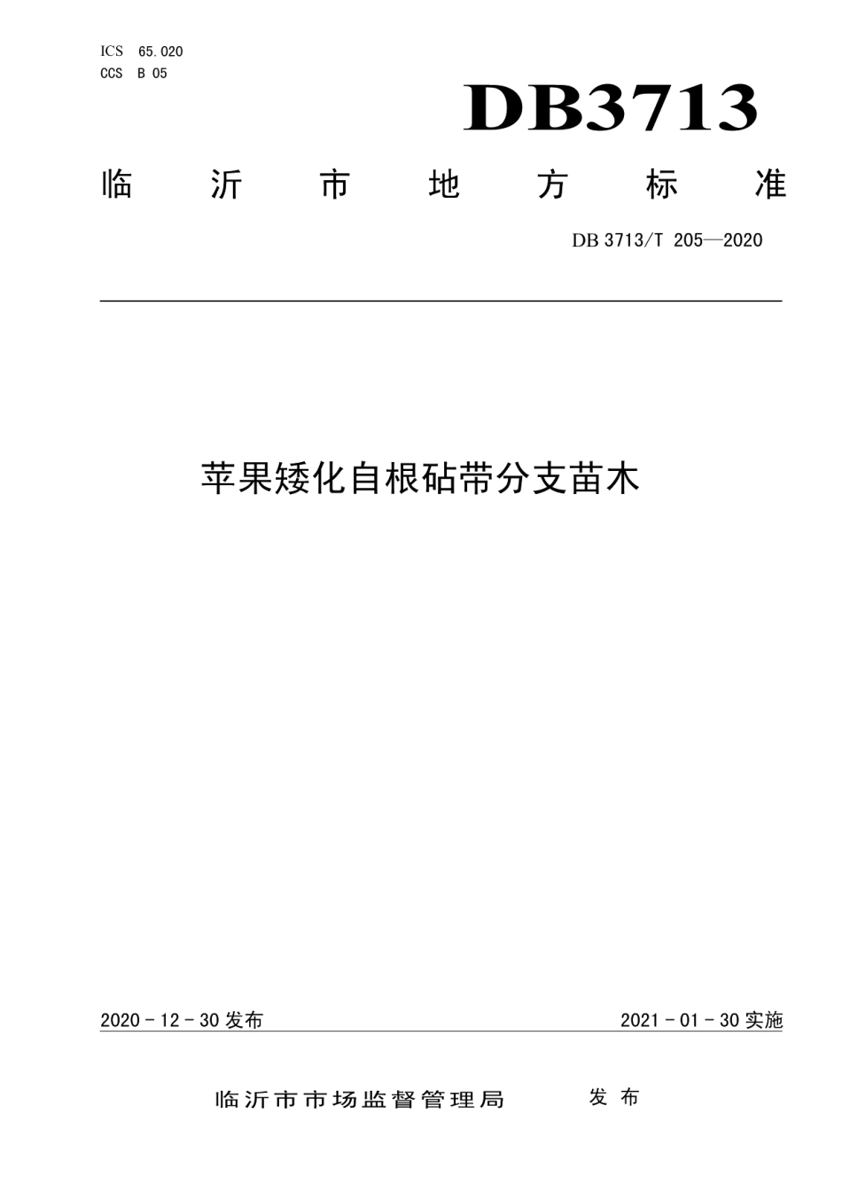 DB3713T 205-2020苹果矮化自根砧带分支苗木.pdf_第1页