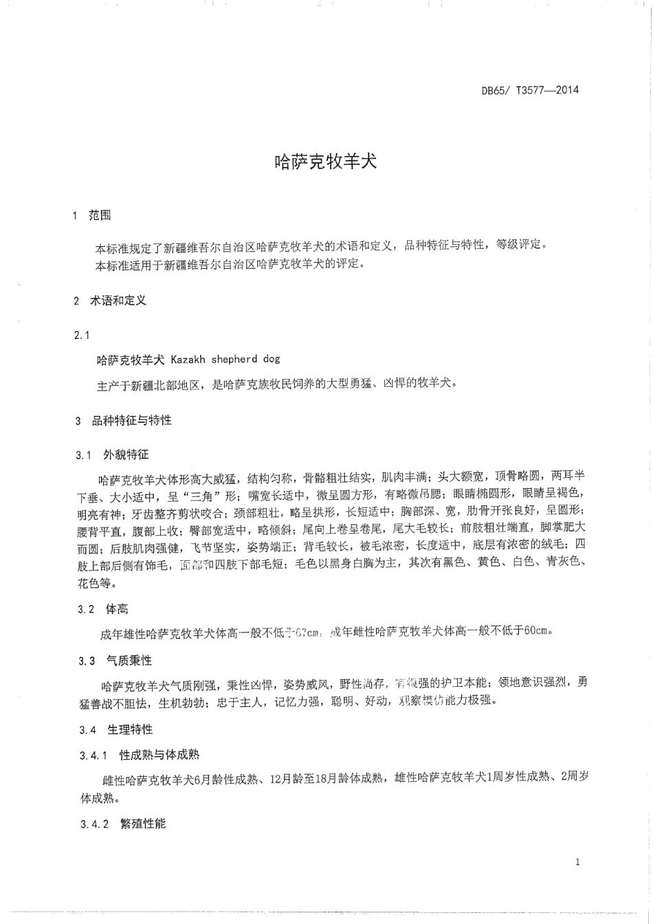 DB65T 3577-2014哈萨克牧羊犬.pdf_第3页