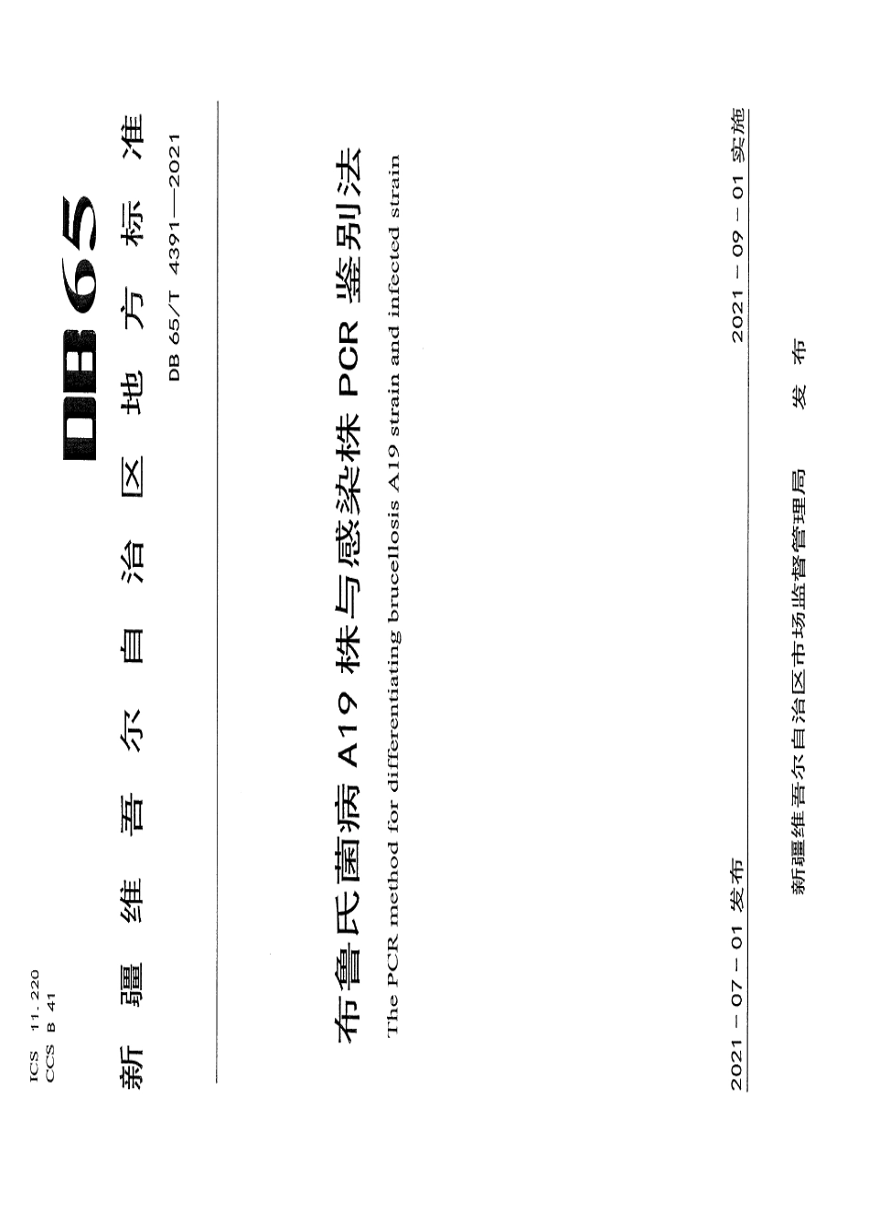 DB65T 4391-2021布鲁氏菌病A19株与感染株PCR鉴别法.pdf_第1页