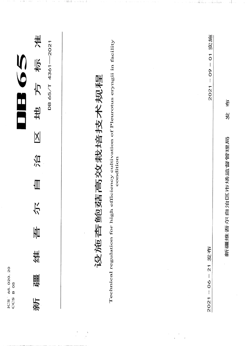 DB65T 4361-2021设施杏鲍菇高效栽培技术规程.pdf_第1页