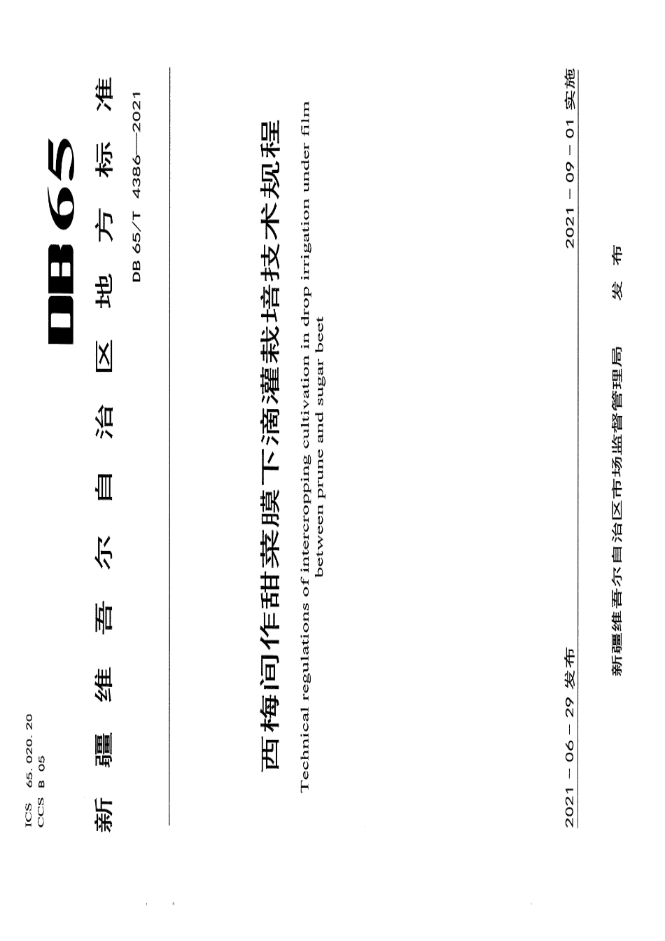 DB65T 4386-2021西梅间作甜菜膜下滴灌栽培技术规程.pdf_第1页