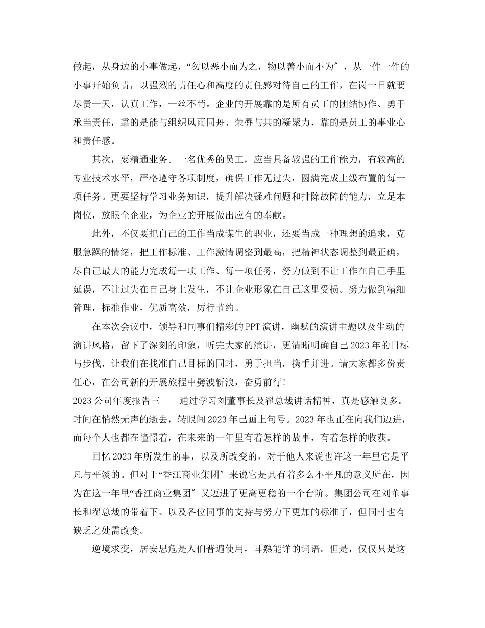 2023年公司年度报告.docx_第3页