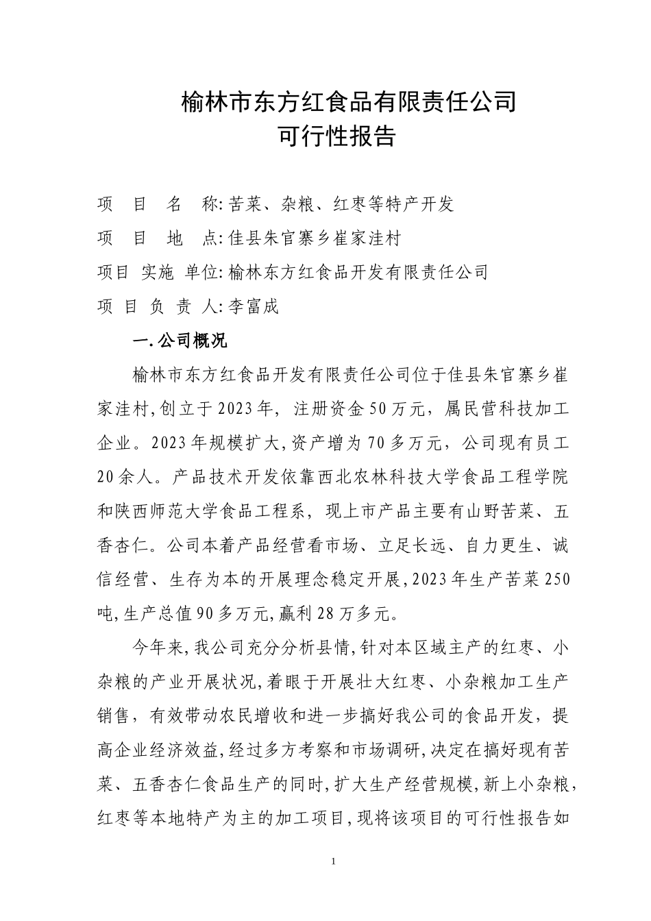 2023年榆林市东方红食品有限责任公司可行性报告.doc_第1页