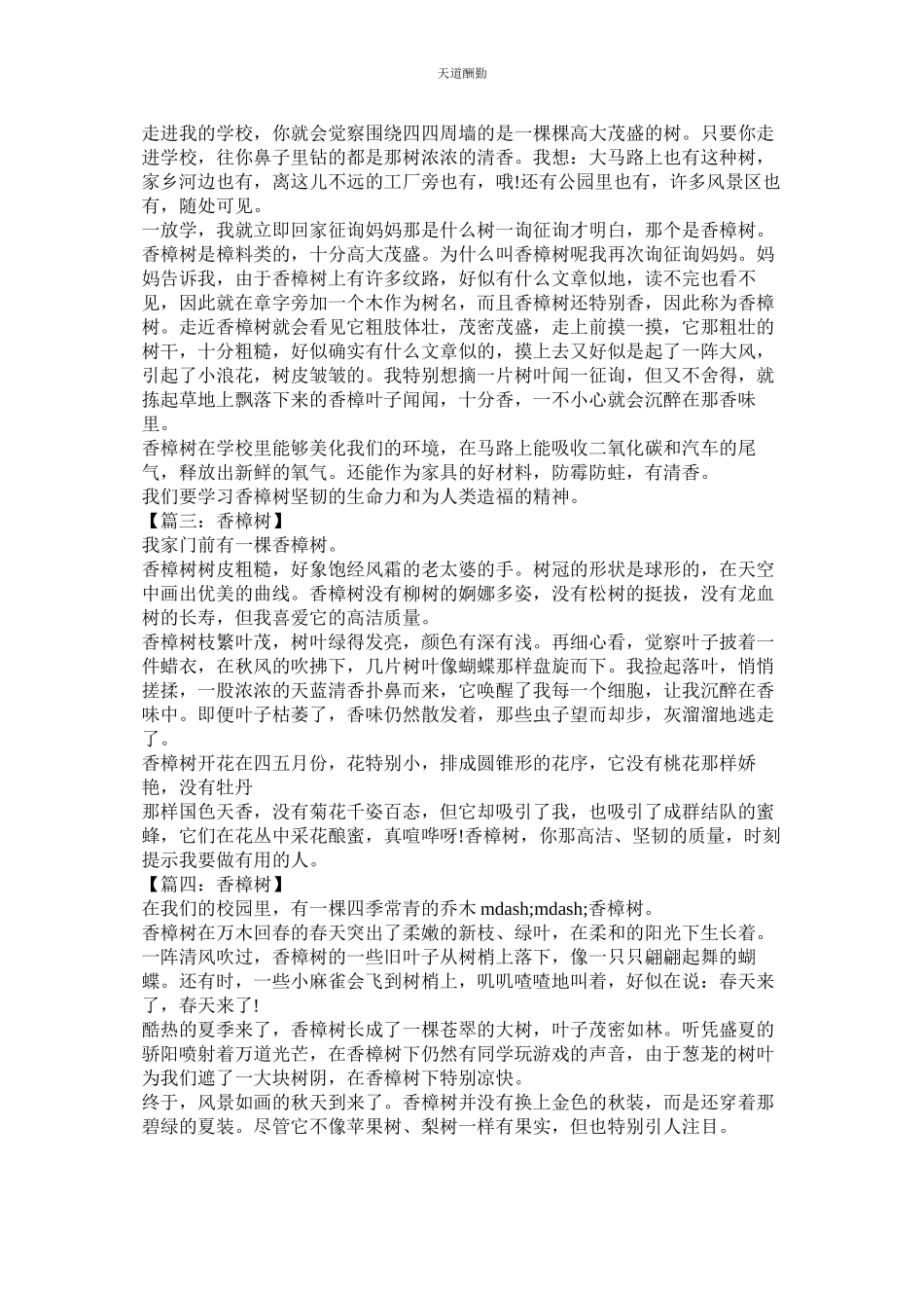 2023年作文ۥ大樟树.docx_第3页