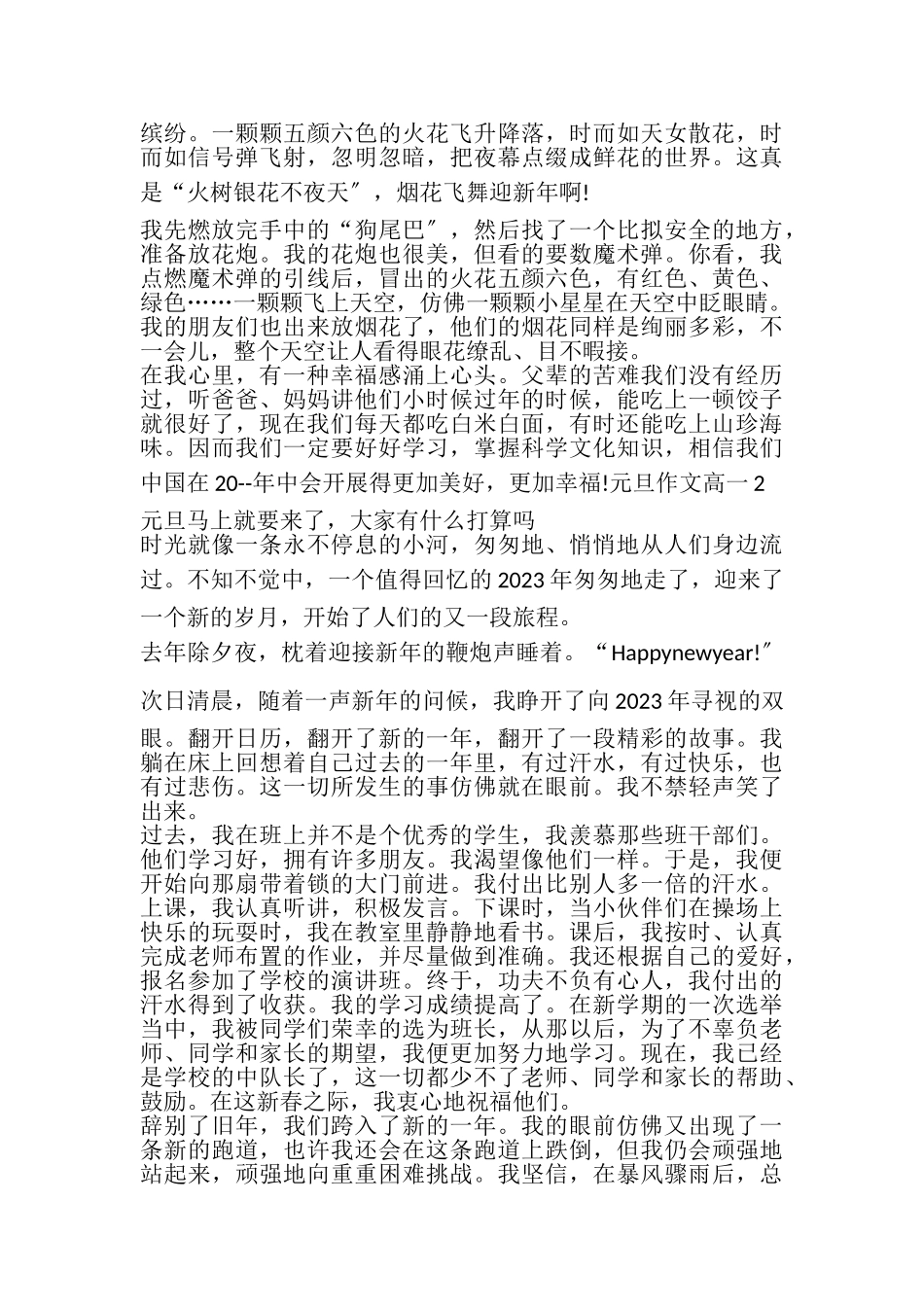 2023年元旦作文高一800字.doc_第2页