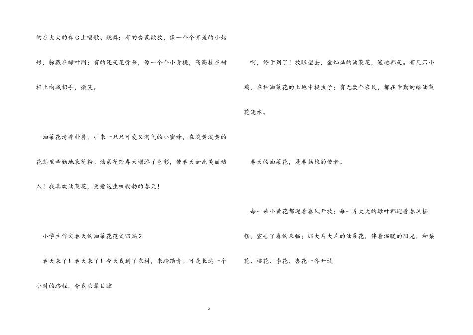 2023年小学生作文春天的油菜花四篇.docx_第2页