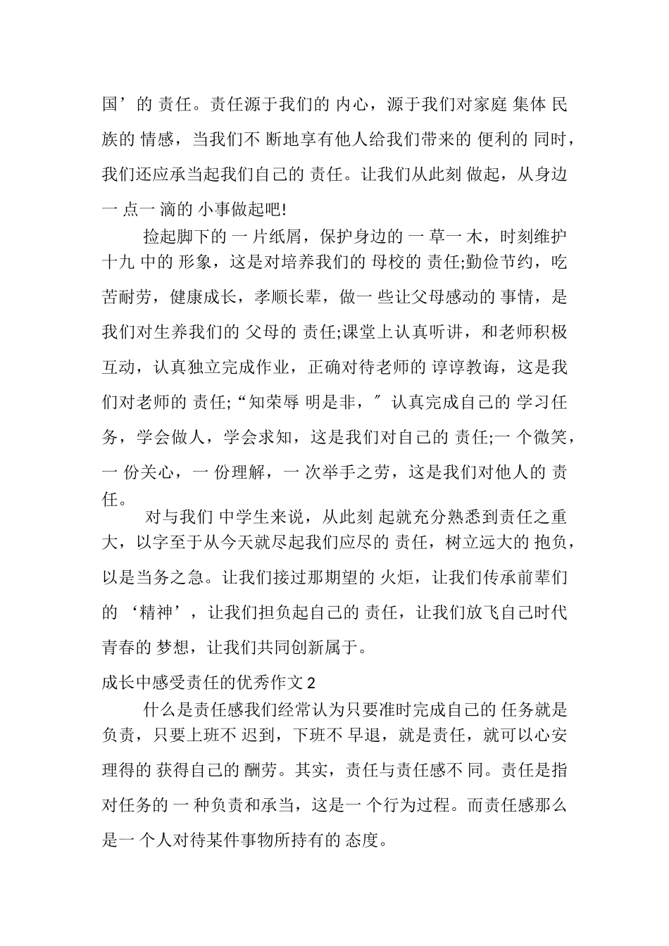 2023年成长中感受责任优秀作文.doc_第2页