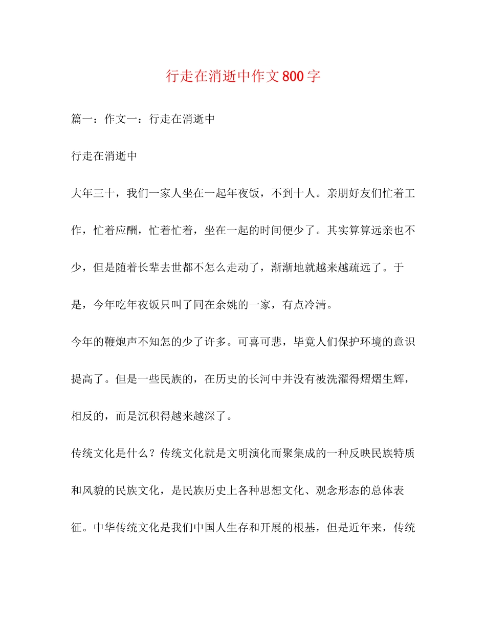 2023年行走在消逝中作文800字.docx_第1页