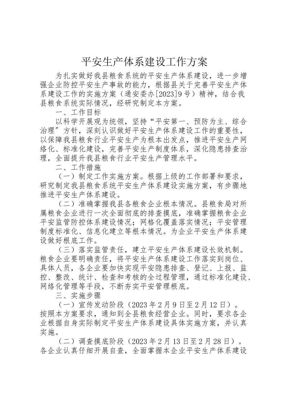 2023年安全生产体系建设工作方案.doc_第1页
