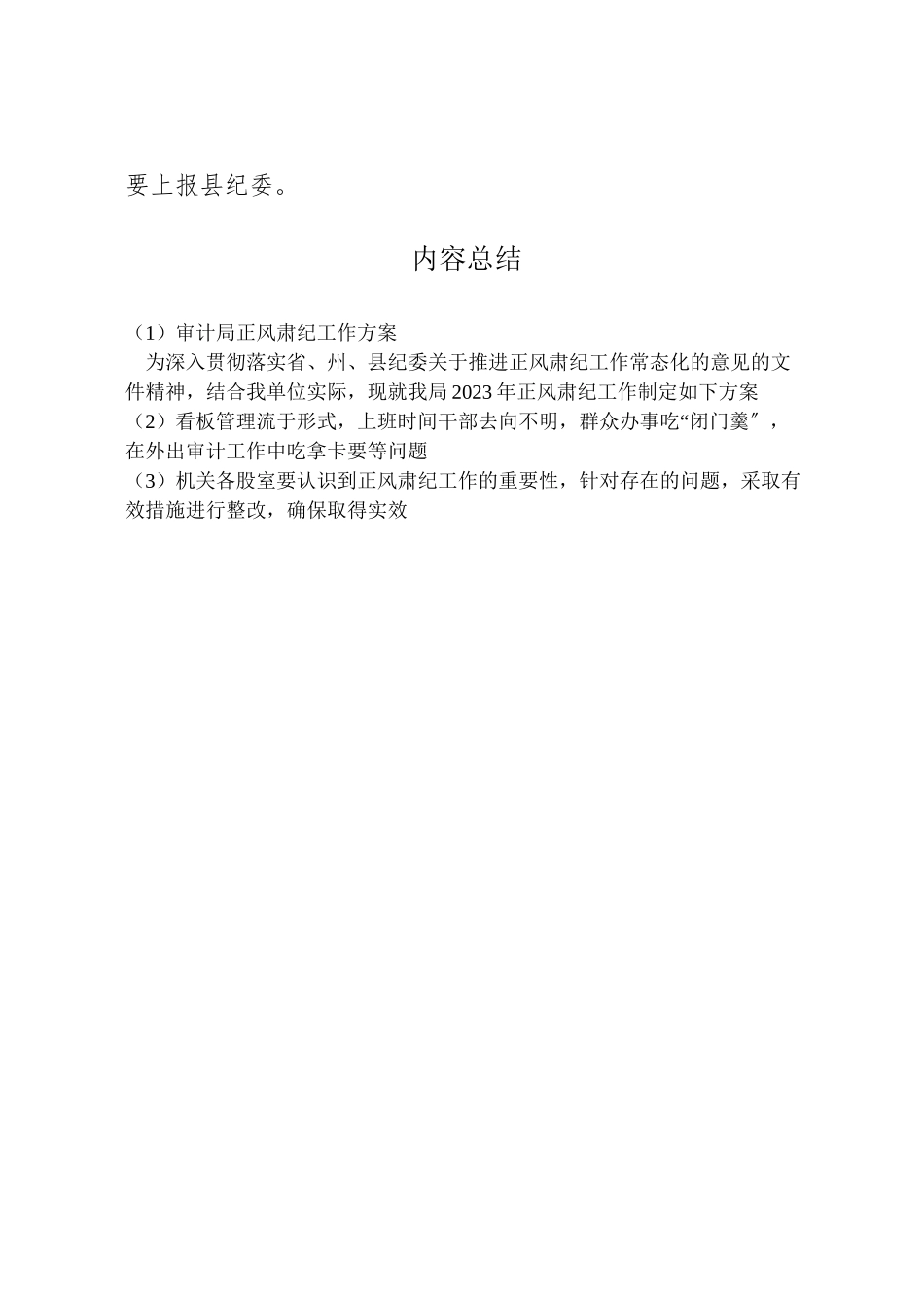 2023年审计局正风肃纪工作方案.doc_第3页