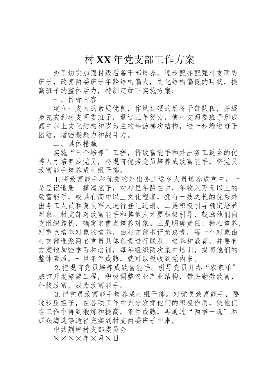 2023年村党支部工作方案 .doc_第1页