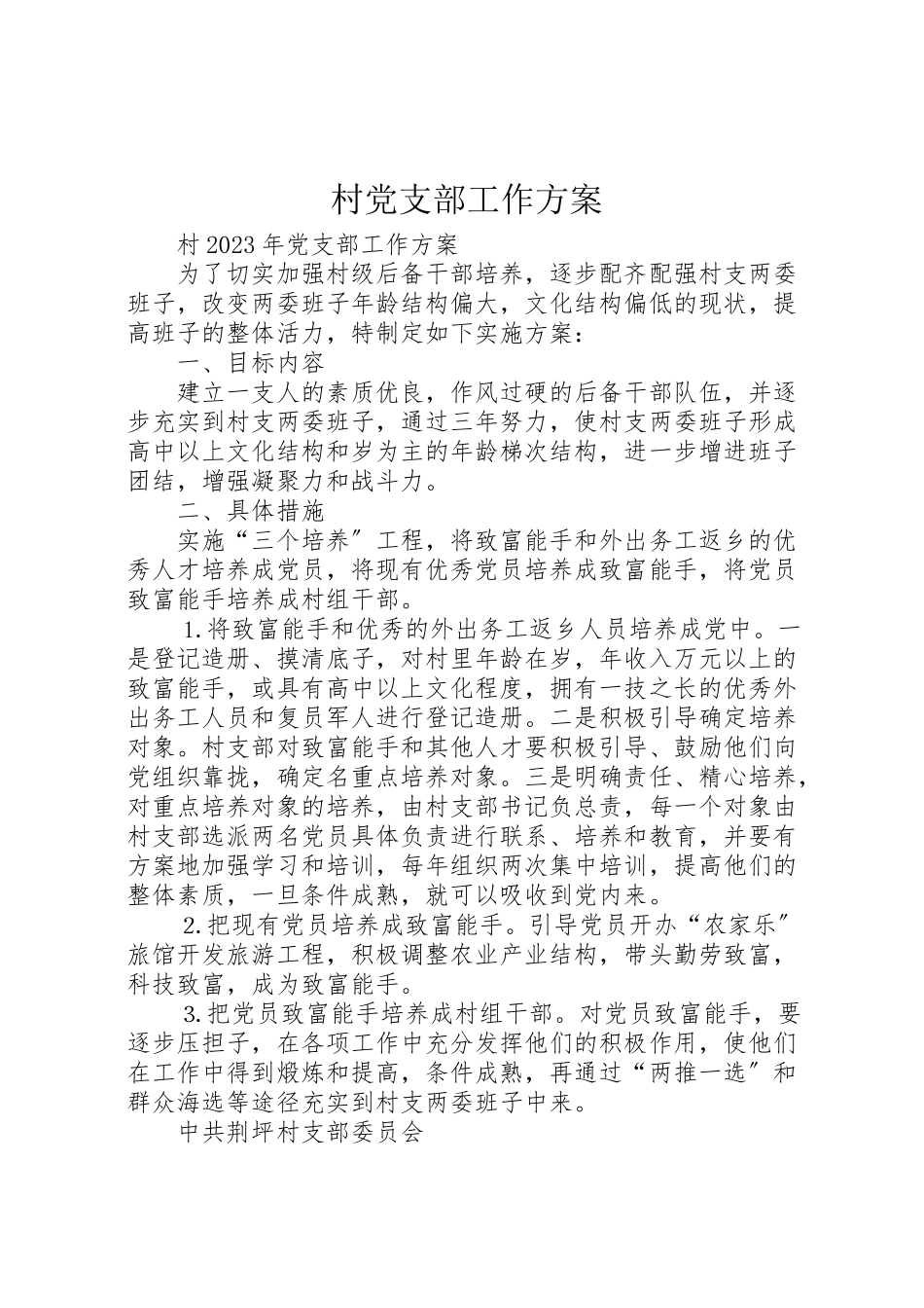 2023年村党支部工作方案.doc_第1页