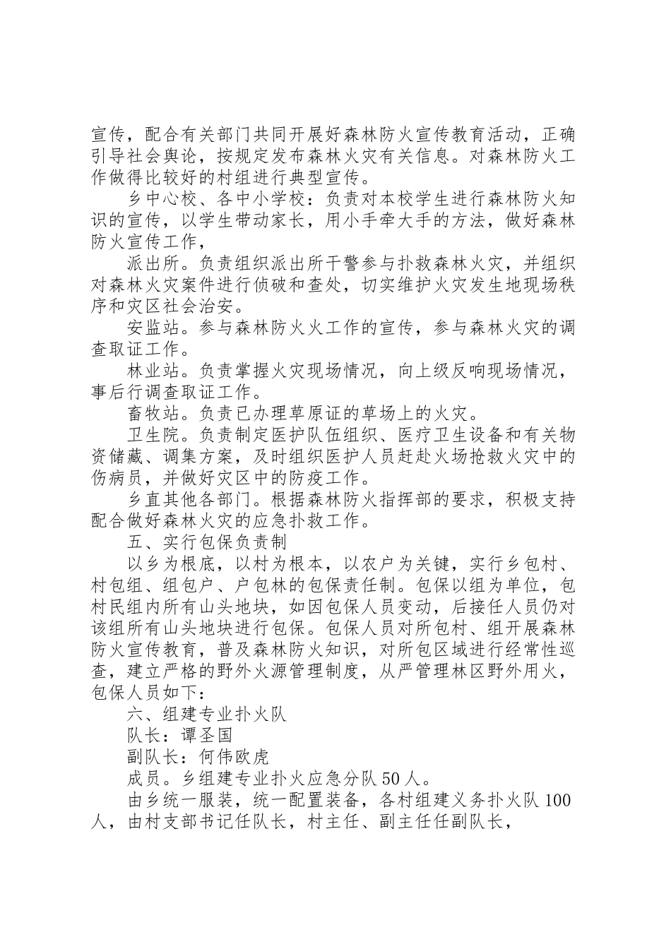 2023年村级森林防火工作方案.doc_第2页