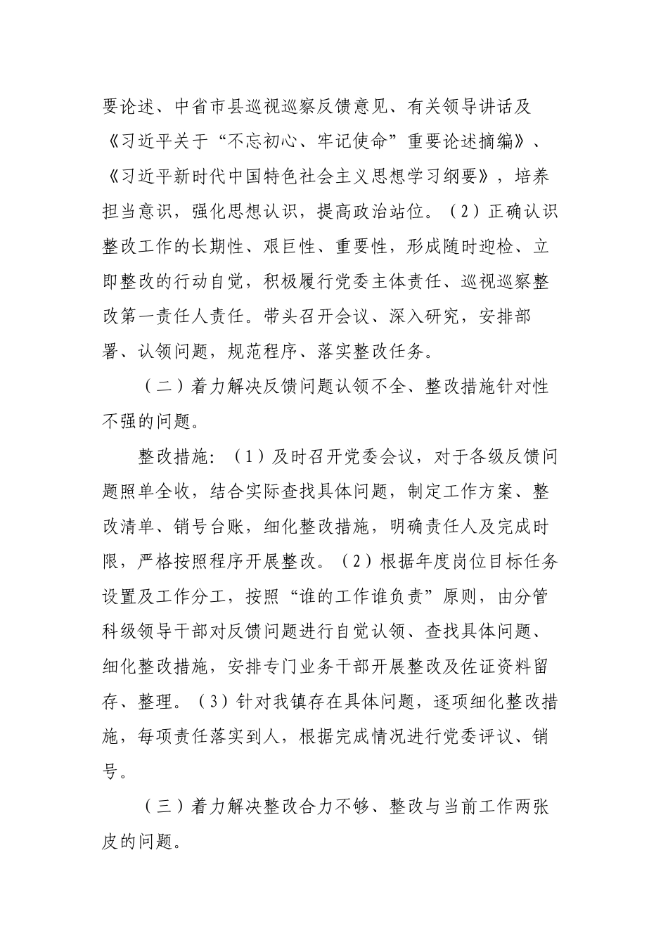 关于专项整治巡视巡察整改存在问题工作方案.docx_第2页