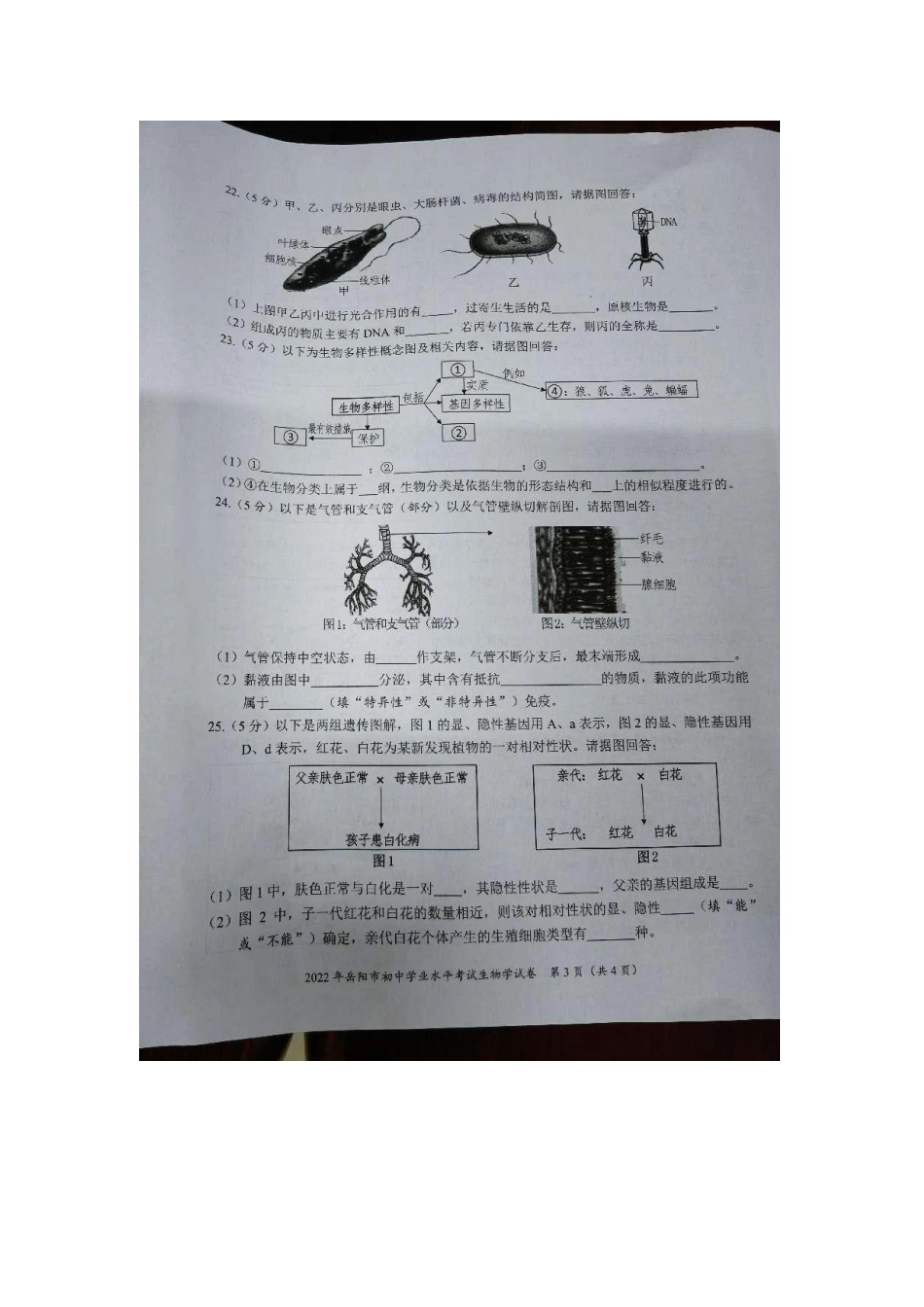 湖南省岳阳市初中毕业水平考试生物试卷.docx_第3页