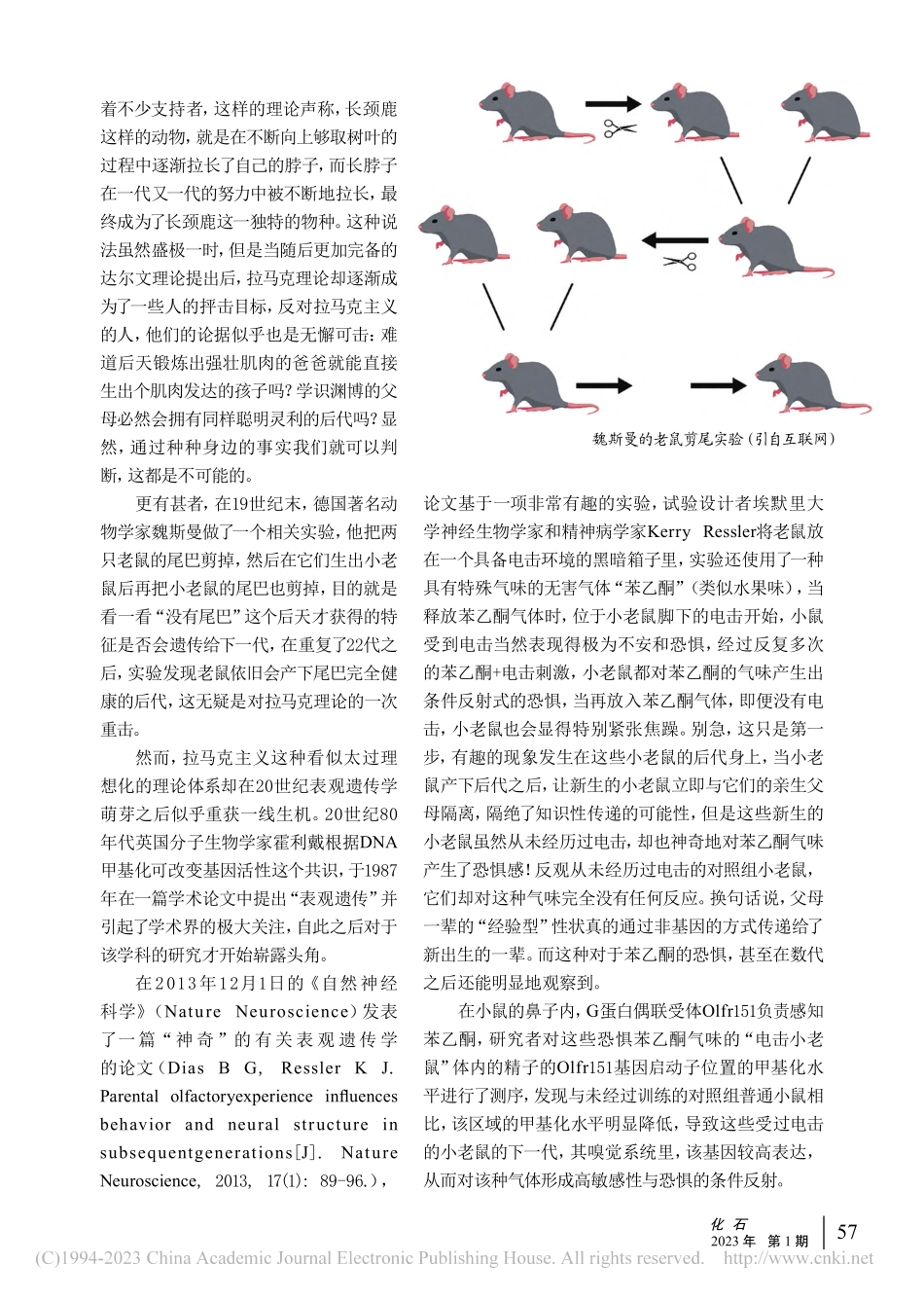 “龙生九子各不相同”——浅说“表观遗传”_蒋原.pdf_第3页
