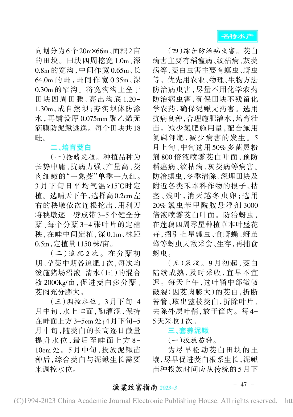 “一熟茭”套养泥鳅的步骤与技术要点_诸彩霞.pdf_第2页