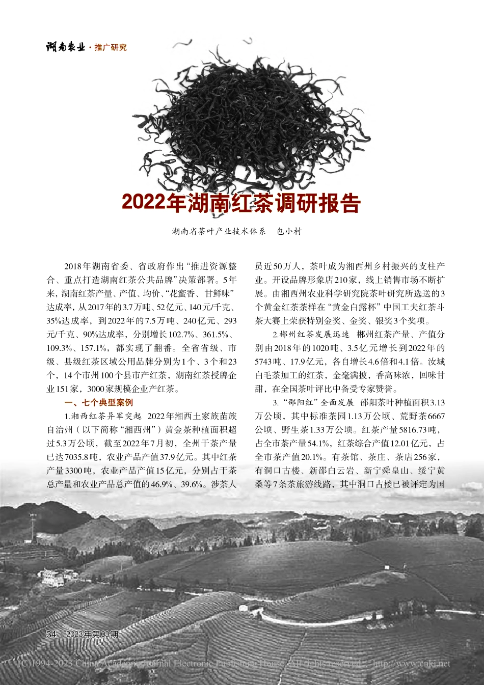 2022年湖南红茶调研报告_包小村.pdf_第1页