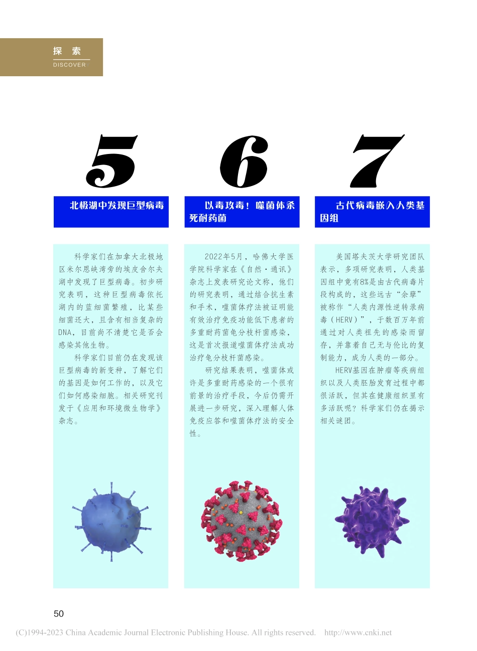 2022年病毒研究领域十大发现.pdf_第3页