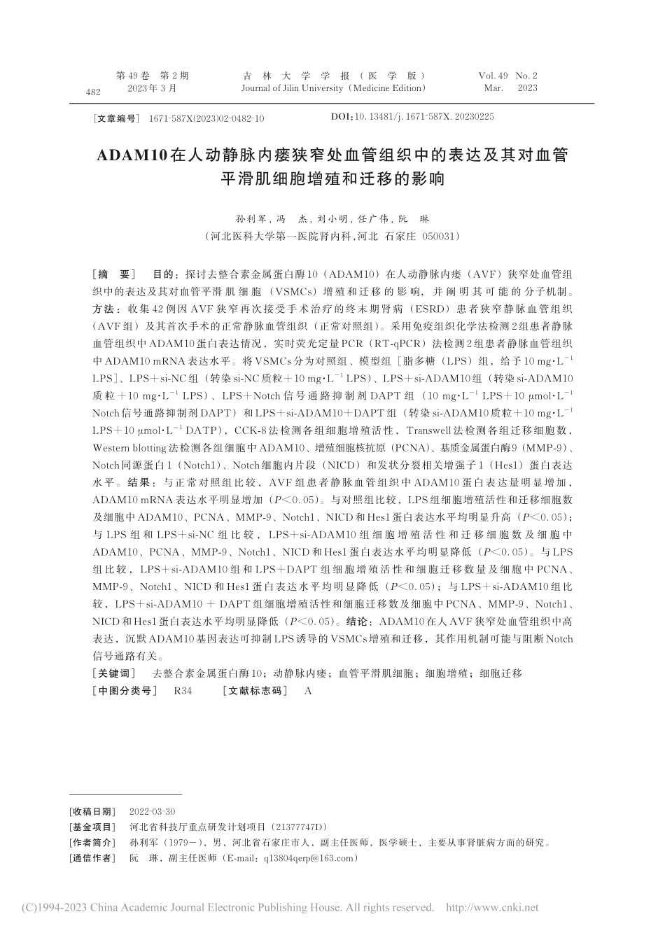 ADAM10在人动静脉内瘘...平滑肌细胞增殖和迁移的影响_孙利军.pdf_第1页