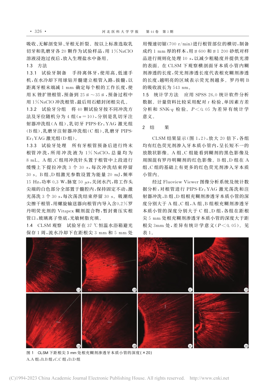 Er_YAG激光PIPS技...透牙本质小管影响的体外研究_张润.pdf_第3页