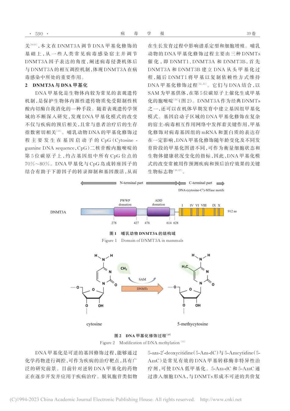 DNA甲基转移酶DNMT3...类常见病毒感染中的研究进展_王绪萌.pdf_第2页
