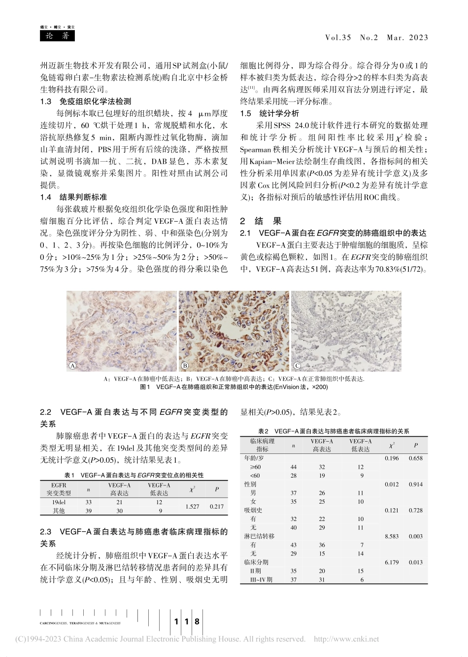EGFR突变型肺腺癌组织中...-A蛋白的表达及其临床意义_黄利丹.pdf_第3页
