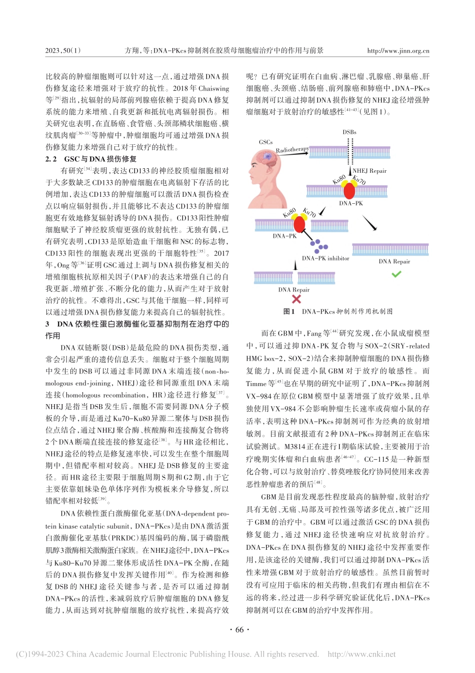DNA-PKcs抑制剂在胶...母细胞瘤治疗中的作用与前景_方翔.pdf_第3页