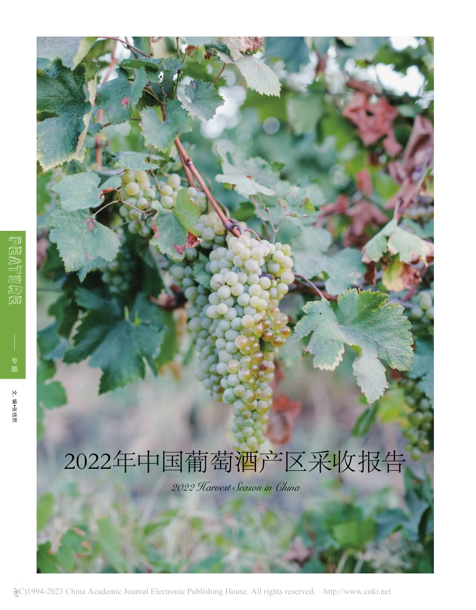 2022年中国葡萄酒产区采收报告_张恬熙.pdf_第1页