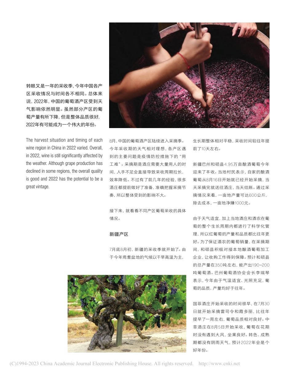 2022年中国葡萄酒产区采收报告_张恬熙.pdf_第2页