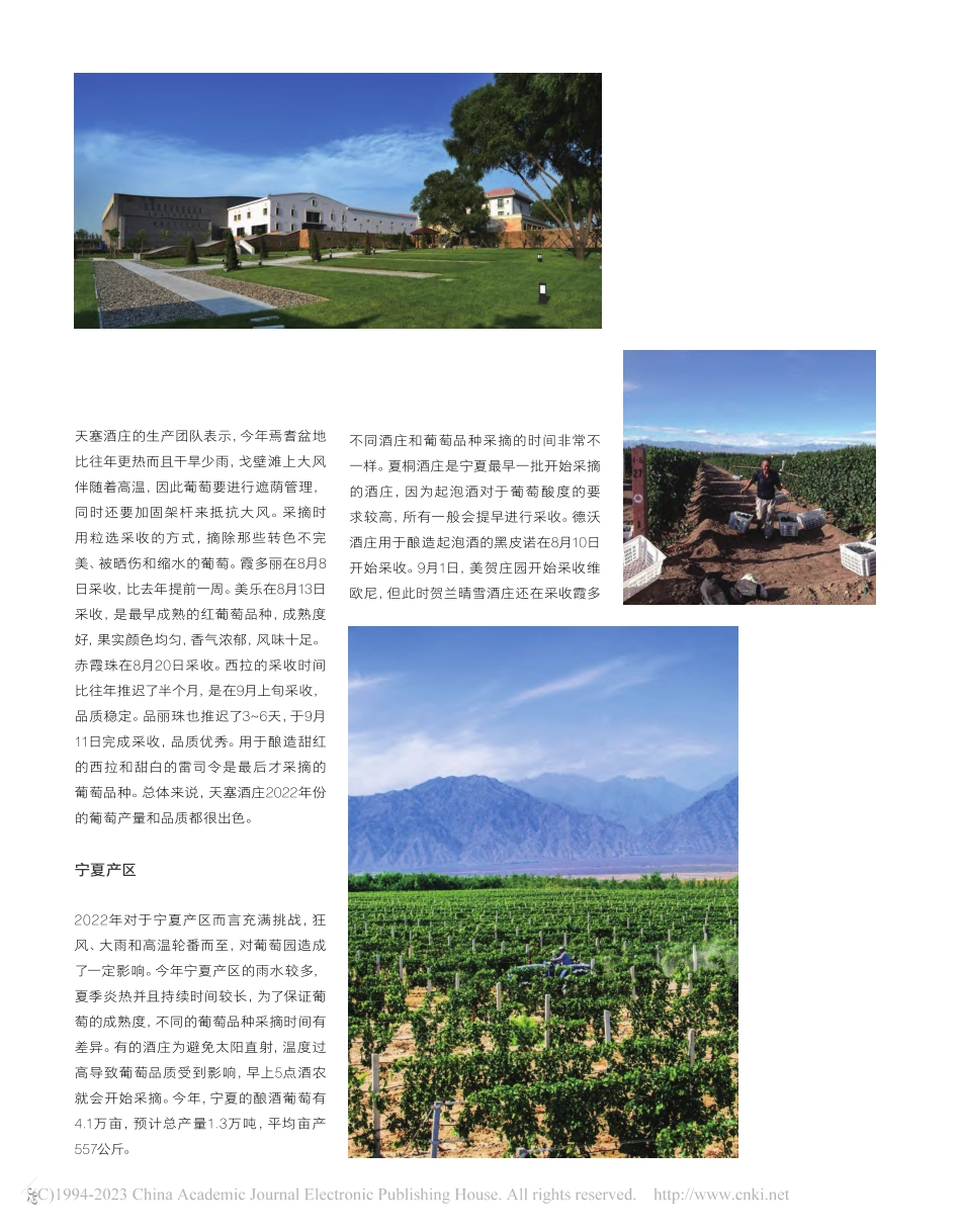 2022年中国葡萄酒产区采收报告_张恬熙.pdf_第3页