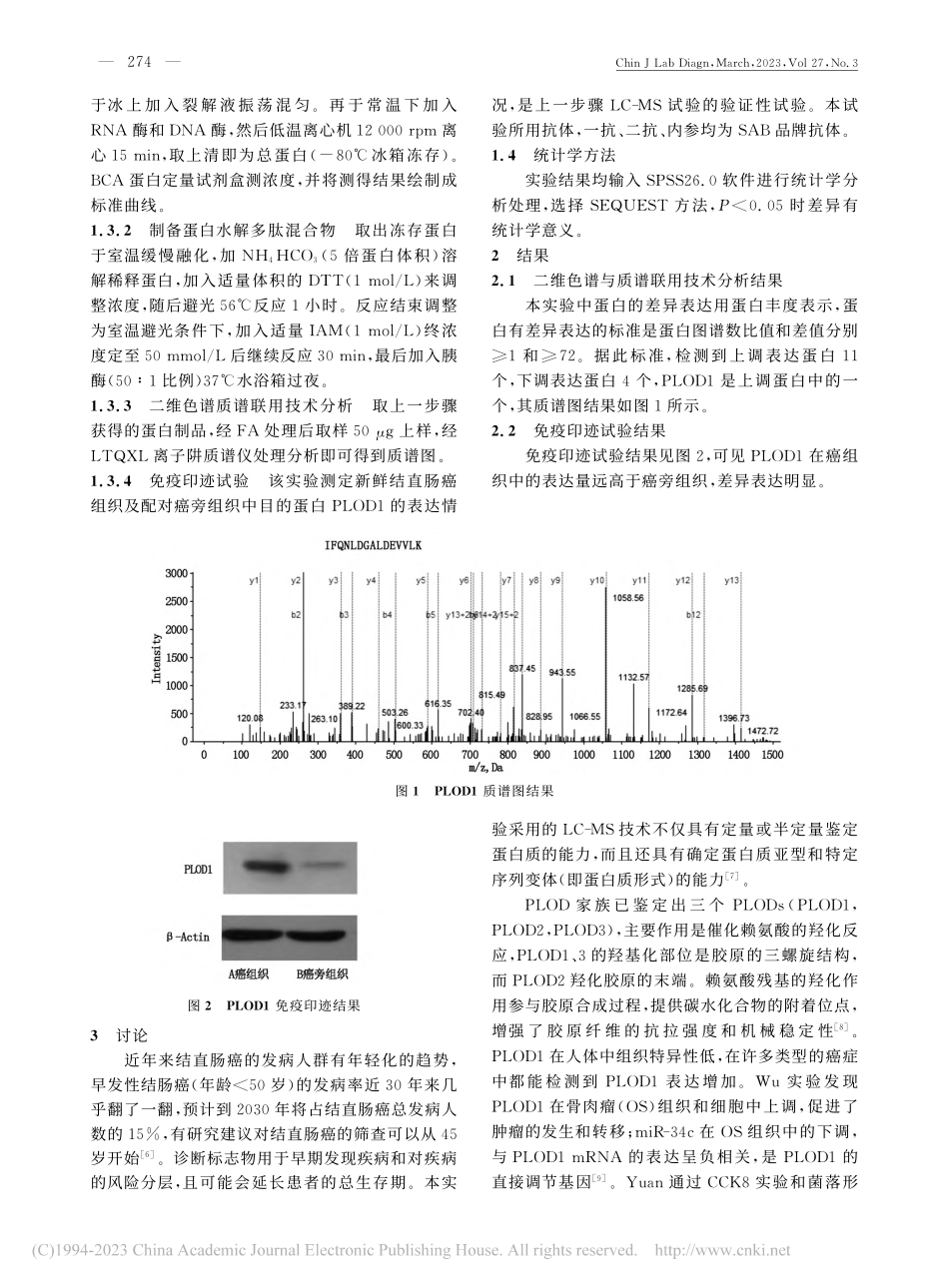 PLOD1在结直肠癌组织中的表达及意义_何平.pdf_第2页
