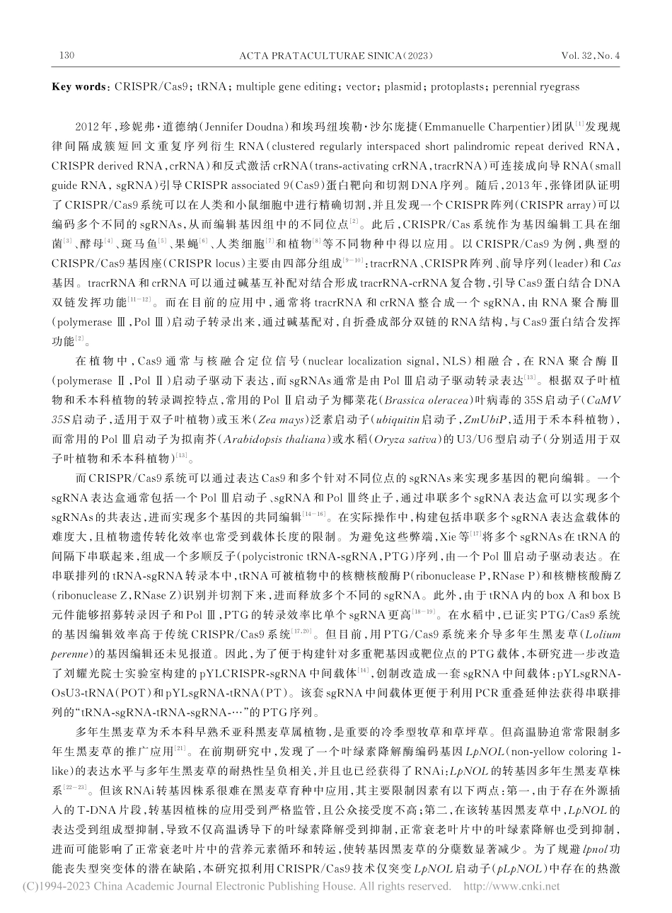 tRNA-sgRNA_Ca...生黑麦草原生质体的基因编辑_姚佳明.pdf_第2页