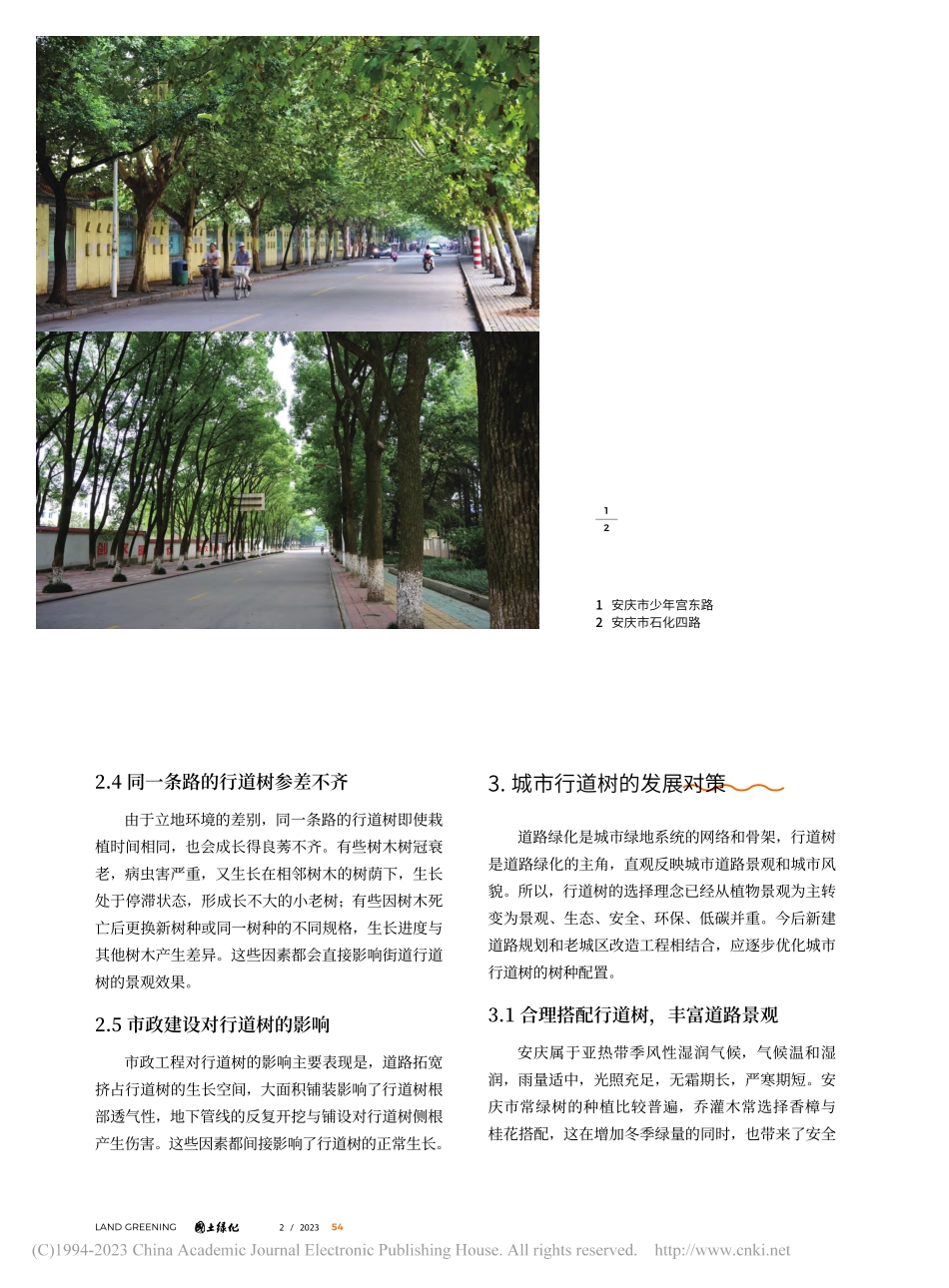 安庆市城区行道树现状分析与发展对策_张艳华.pdf_第2页