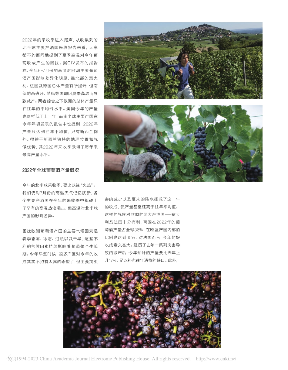 2022年采收季：“热”火朝天_梁同正.pdf_第3页